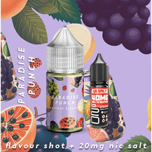 30ml Paradise Punch Salt Nic COMBO